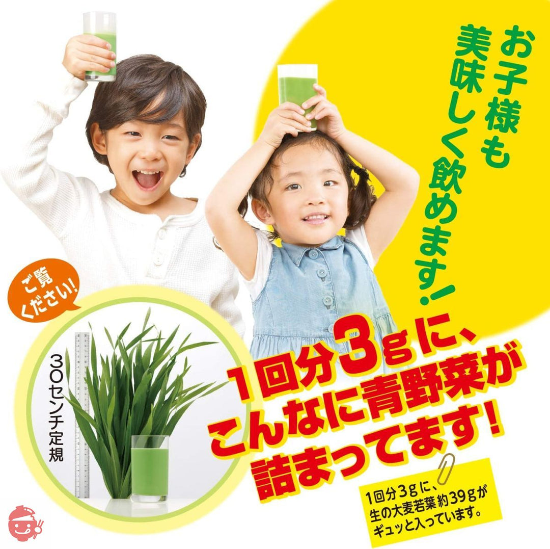 大麦若葉粉末100% 170gの画像