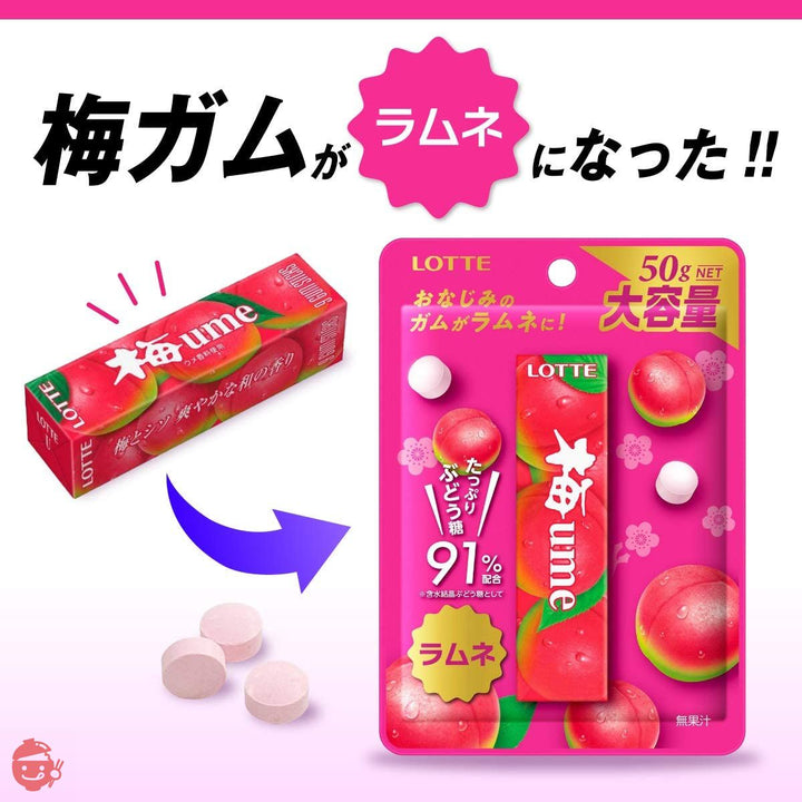 ロッテ 梅ラムネ 50g ×10袋の画像