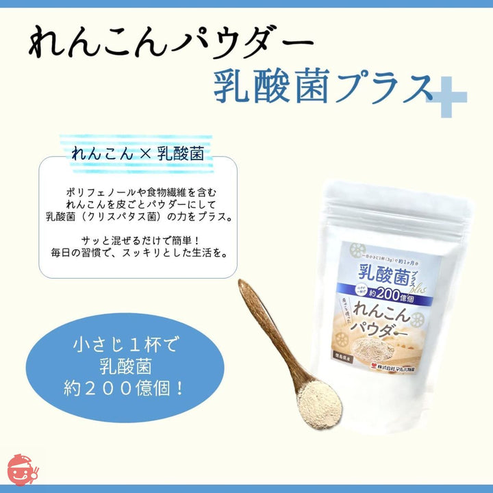 徳島産れんこんパウダー乳酸菌プラス 100g(徳島産れんこん 保存料不使用)の画像