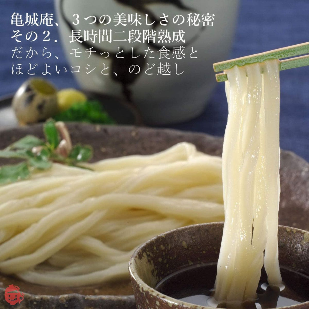 さぬきうどんの亀城庵 香川 讃岐うどん 自宅用セット ( 120g×10袋 ) 並切麺 半生 乾麺 ( 合成保存料不使用 )の画像