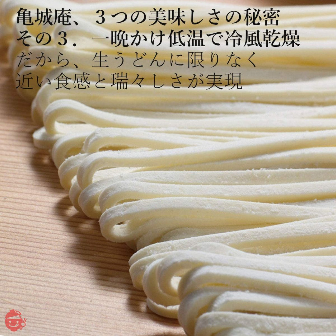 さぬきうどんの亀城庵 香川 讃岐うどん 自宅用セット ( 120g×10袋 ) 並切麺 半生 乾麺 ( 合成保存料不使用 )の画像