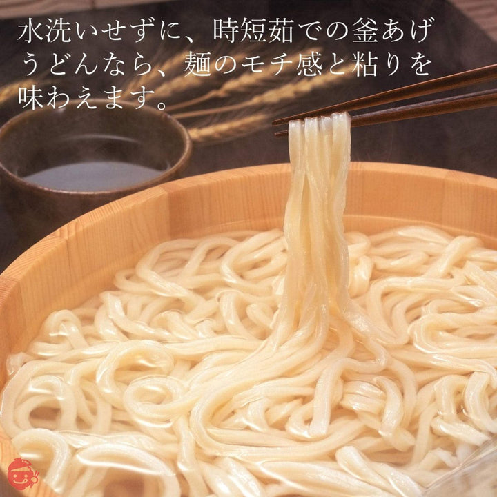 さぬきうどんの亀城庵 香川 讃岐うどん 自宅用セット ( 120g×10袋 ) 並切麺 半生 乾麺 ( 合成保存料不使用 )の画像