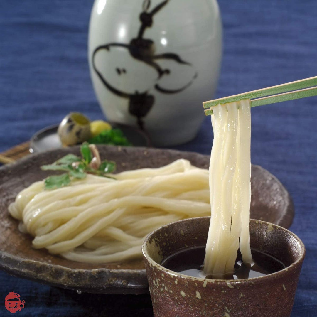 さぬきうどんの亀城庵 香川 讃岐うどん 自宅用セット 濃縮つゆ付き ( 120g×10袋 ) 並切麺 半生 乾麺 ( 合成保存料不使用 )の画像