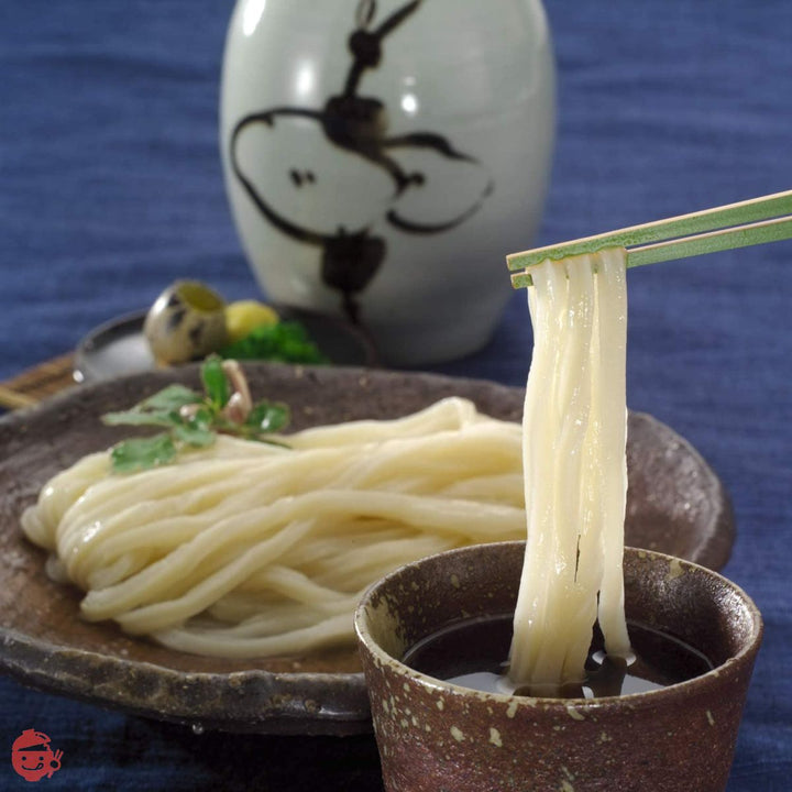 さぬきうどんの亀城庵 香川 讃岐うどん 自宅用セット 濃縮つゆ付き ( 120g×10袋 ) 並切麺 半生 乾麺 ( 合成保存料不使用 )の画像