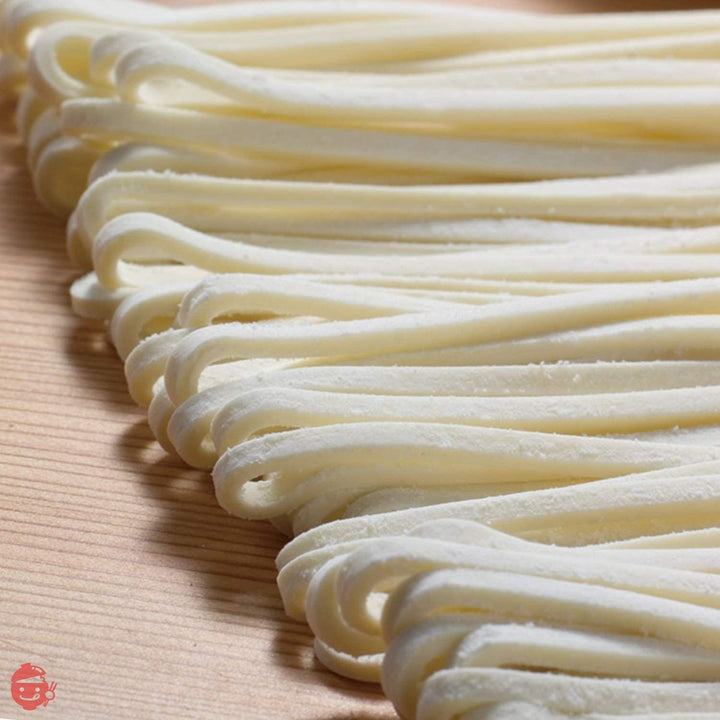 さぬきうどんの亀城庵 香川 讃岐うどん 自宅用セット 濃縮つゆ付き ( 120g×10袋 ) 並切麺 半生 乾麺 ( 合成保存料不使用 )の画像