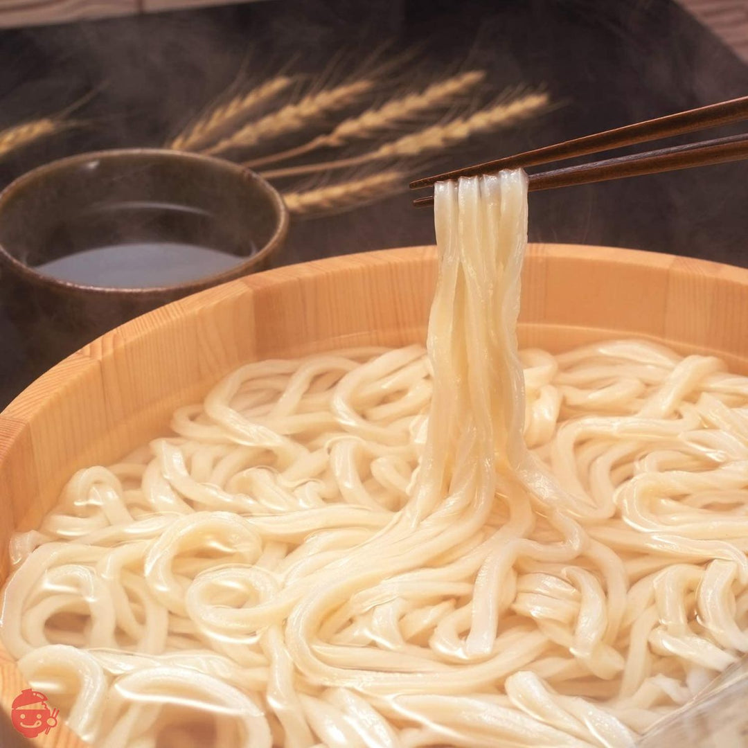 亀城庵 香川 讃岐うどん 自宅用セット ( 120g×10袋 ) 太切麺 半生 乾麺 ( 合成保存料不使用 )の画像