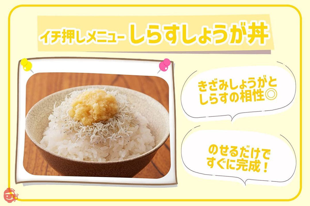 桃屋 きざみしょうがお徳用 205g【大容量 お徳用 生姜 チャーハン 炒飯 薬味 素麺 うどん ご飯のお供 】の画像