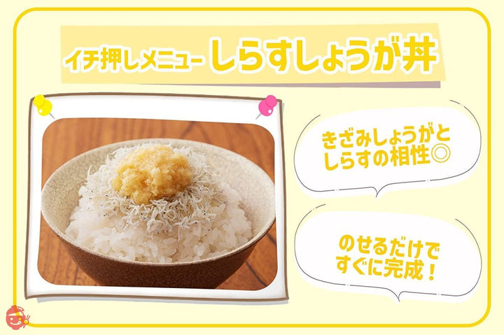 桃屋 きざみしょうがお徳用 205g【大容量 お徳用 生姜 チャーハン 炒飯 薬味 素麺 うどん ご飯のお供 】の画像