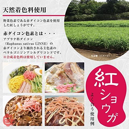 紅ショウガ(天然着色)660g DMの画像