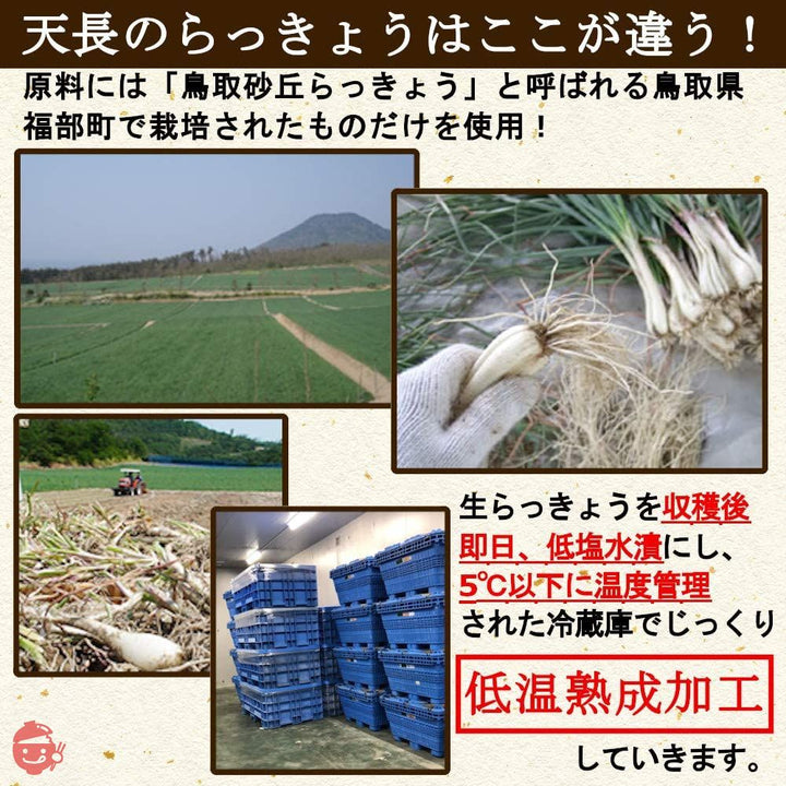 天長食品 らっきょう漬け 190gX2袋 鳥取砂丘 無添加 国産 低温熟成の画像