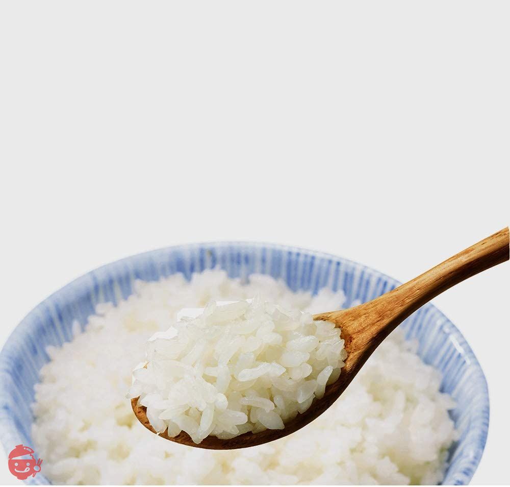 尾西食品 アルファ米 白飯 100g×10個の画像