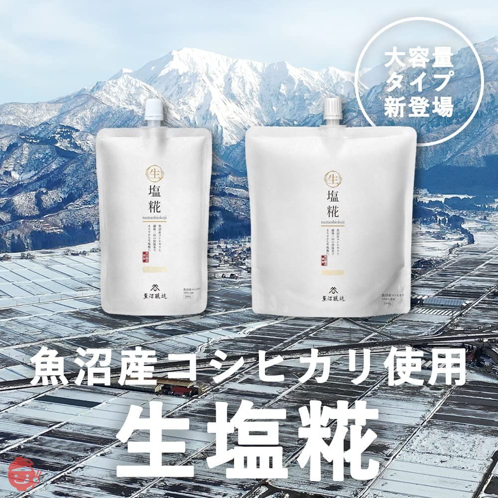 【塩糀】 調味料 米こうじ 国産 無添加 【生塩糀/魚沼醸造】500g×8個入 魚沼産コシヒカリ100%使用 こうじ菌 酵素の画像