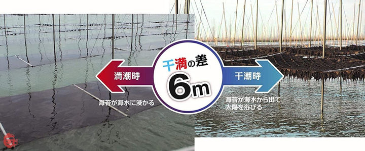 佐賀海苔 一等級佐賀県有明海産焼のり 全形8枚×10袋の画像
