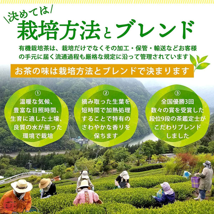 煎茶 粉末 有機粉末緑茶 160g (80g×2袋)オーガニック 粉末緑茶 緑茶 国産 無農薬 お茶 カテキン カテキン緑茶 日本茶 ギフト 京都宇治ヤマサンの画像