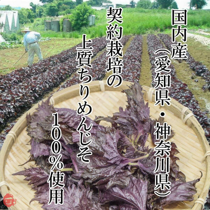 赤しそ 国内産100% 上質ちりめんじそ使用 生梅2kg用 500g 10袋入りの画像