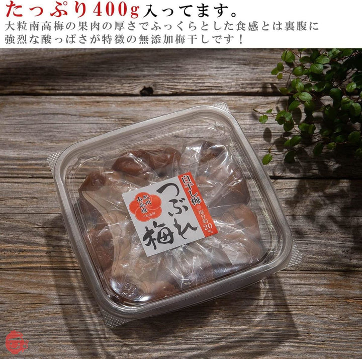 うめ海鮮 紀州南高梅 梅干し 無添加 厳選 白干し梅 400g 塩分20% 熱中症対策【 大粒 昔ながらの 酸っぱい梅干し 塩のみ 】 梅干 すっぱい 白梅干し 訳あり つぶれ梅 訳あり 国産 無添加梅干し うめぼし うめ わけあり プレゼントの画像