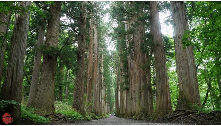 おびなた 蕎麦通の二八そば 240gの画像