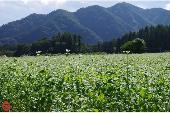 おびなた 蕎麦通の二八そば 240gの画像