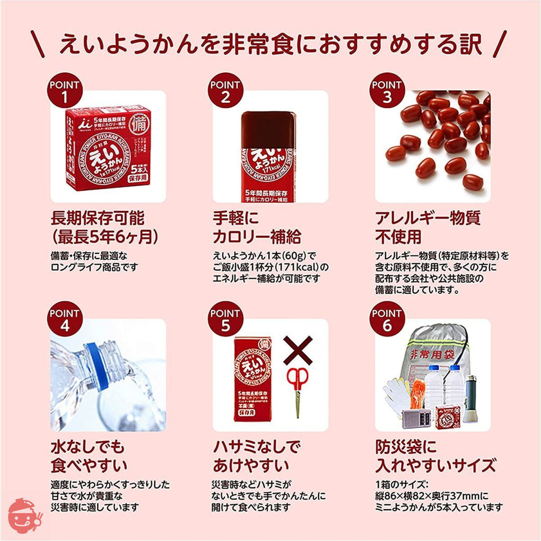 井村屋 えいようかん アソートパック 2種 計4箱入の画像