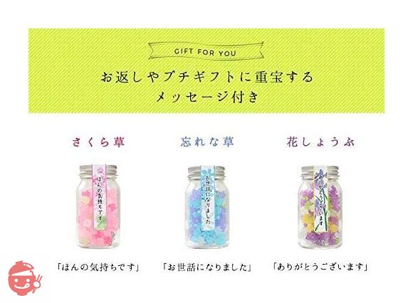 ふみこ農園 お返し 人気 退職のお礼やプチギフトに使える メッセージ入り金平糖(こんぺいとう)50g 瓶入り 忘れな草(お世話になりました)の画像