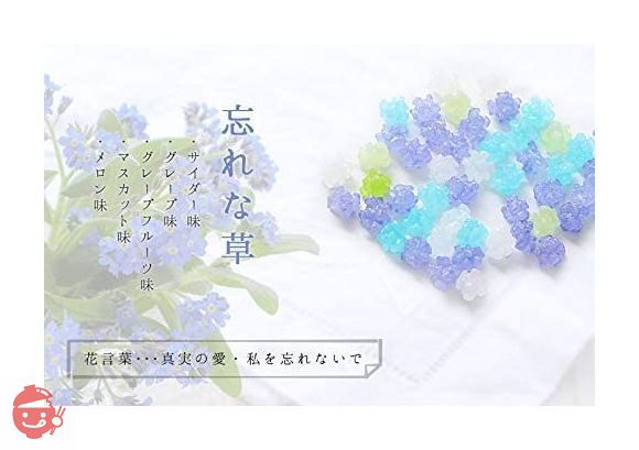 ふみこ農園 お返し 人気 退職のお礼やプチギフトに使える メッセージ入り金平糖(こんぺいとう)50g 瓶入り 忘れな草(お世話になりました)の画像