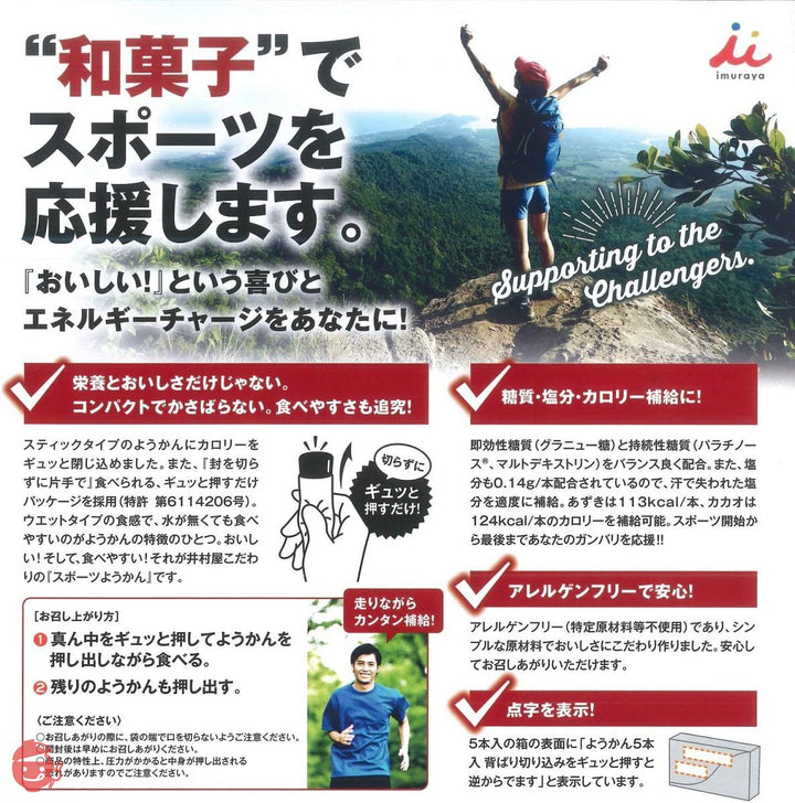 井村屋 スポーツようかん カカオ 38g×10個の画像