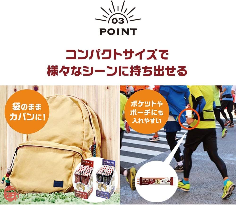 井村屋 スポーツようかん あずき 40g×10個の画像