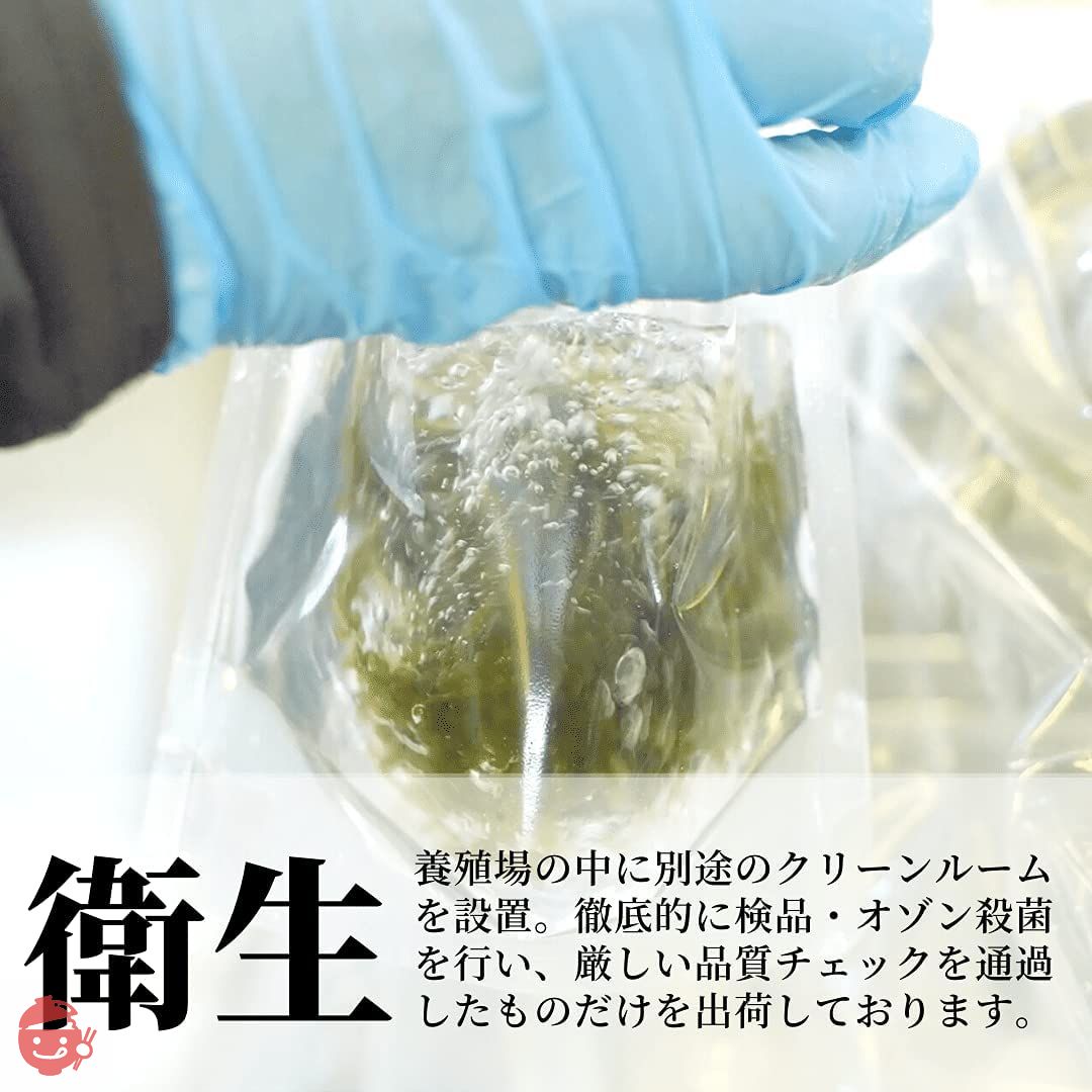 沖ピ 特選A品 海ぶどう 100%沖縄県産 専用シークヮーサータレ付き (240g(120g×2パック))の画像