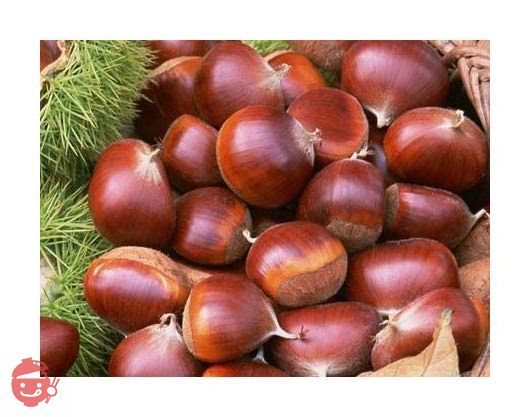 有機天津甘栗 80g 4袋 ※むき栗 有機栽培 甘栗 あまぐり 天津甘栗の画像