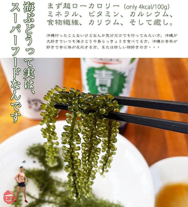 海ぶどう 塩漬けなので賞味期限が長くて便利 水に戻せば5倍に膨らむ大容量 でも新鮮でビックリ 味で勝負 ご当地グルメ 常温 m02 (1パック(2食入))の画像