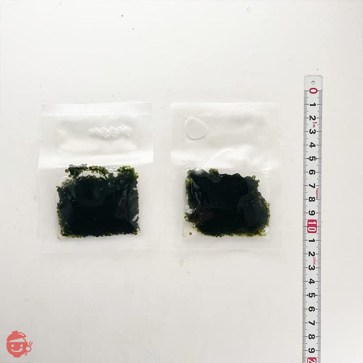 海ぶどう 塩漬けなので賞味期限が長くて便利 水に戻せば5倍に膨らむ大容量 でも新鮮でビックリ 味で勝負 ご当地グルメ 常温 m02 (4パック(8食入))の画像