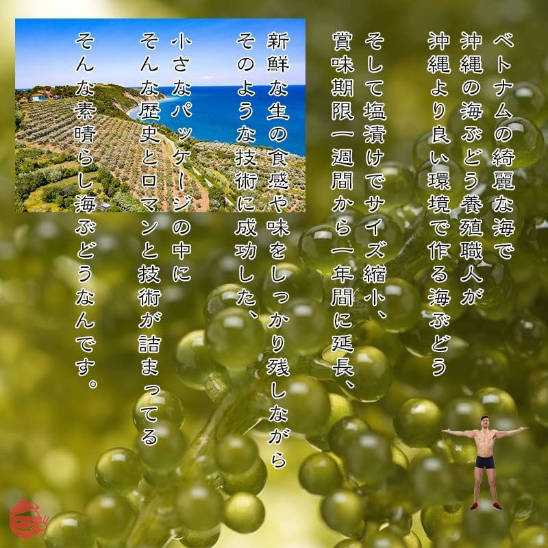 海ぶどう 塩漬けなので賞味期限が長くて便利 水に戻せば5倍に膨らむ大容量 でも新鮮でビックリ 味で勝負 ご当地グルメ 常温 m02 (9パック(18食入))の画像