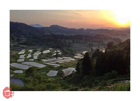 妻有そば 20把 箱入の画像