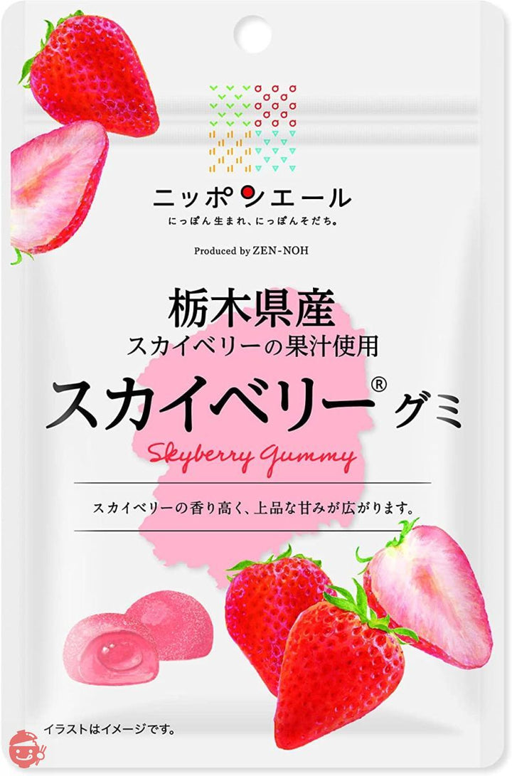 全農 栃木県産スカイベリーグミ 40g×10袋の画像