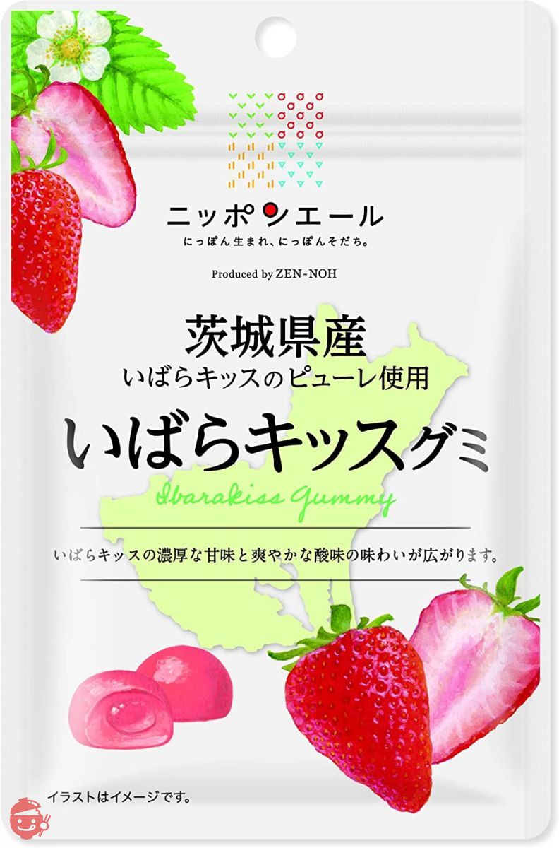 全農 茨城県産いばらキッスグミ 40g×10袋の画像