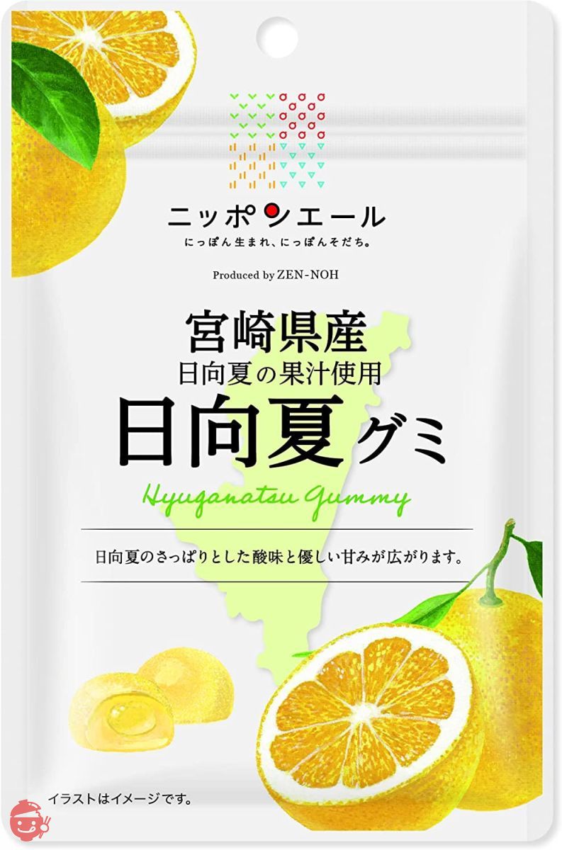 全農 宮崎県産日向夏グミ 40g×10袋の画像
