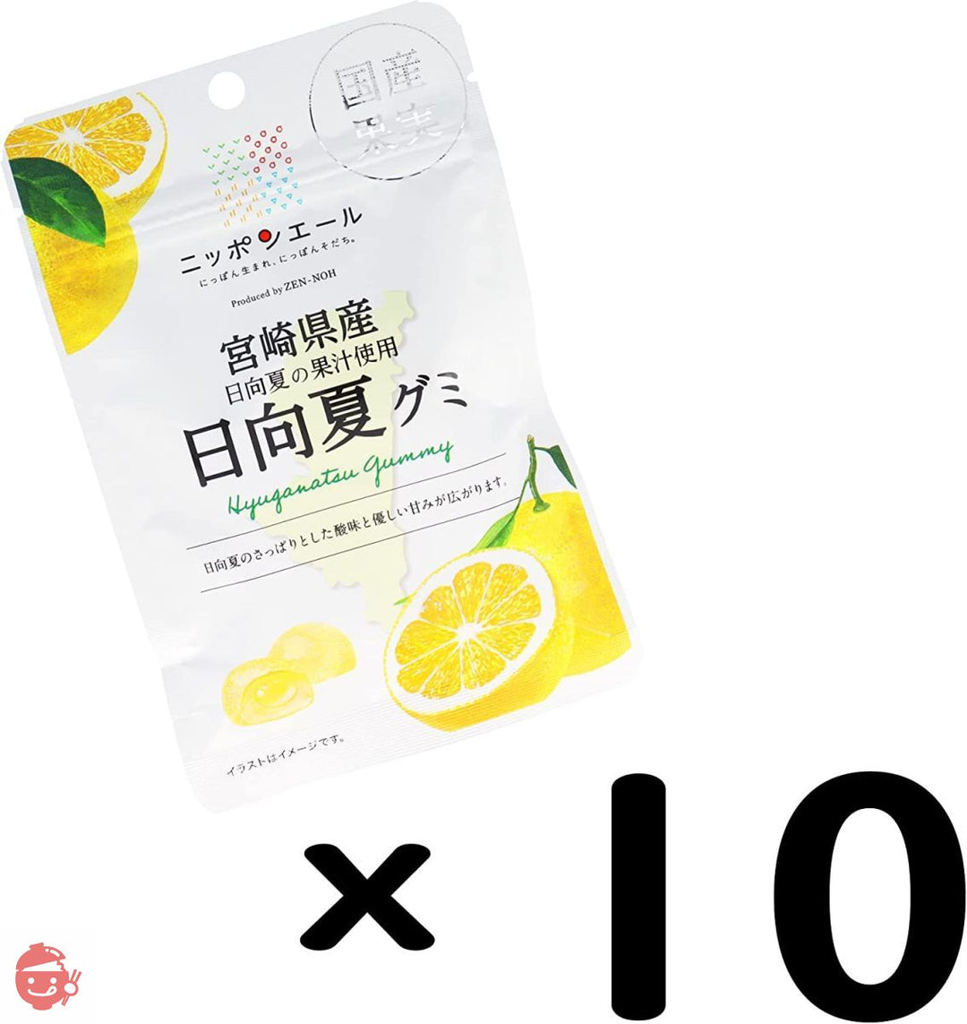 全農 宮崎県産日向夏グミ 40g×10袋の画像