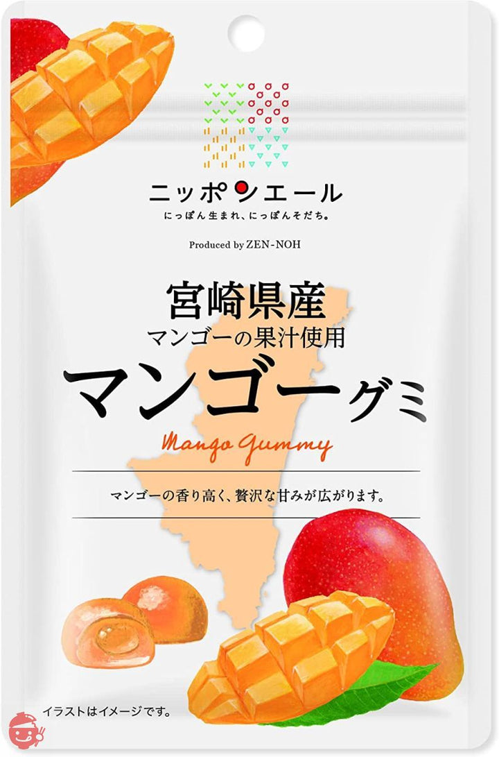 全農 宮崎県産マンゴーグミ 40g×10袋の画像