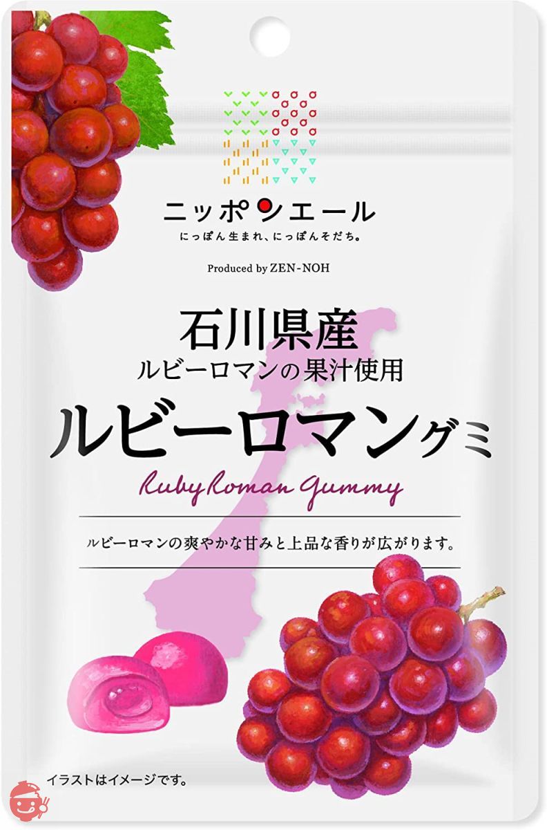 全農 石川県産ルビーロマングミ 40g×10袋の画像