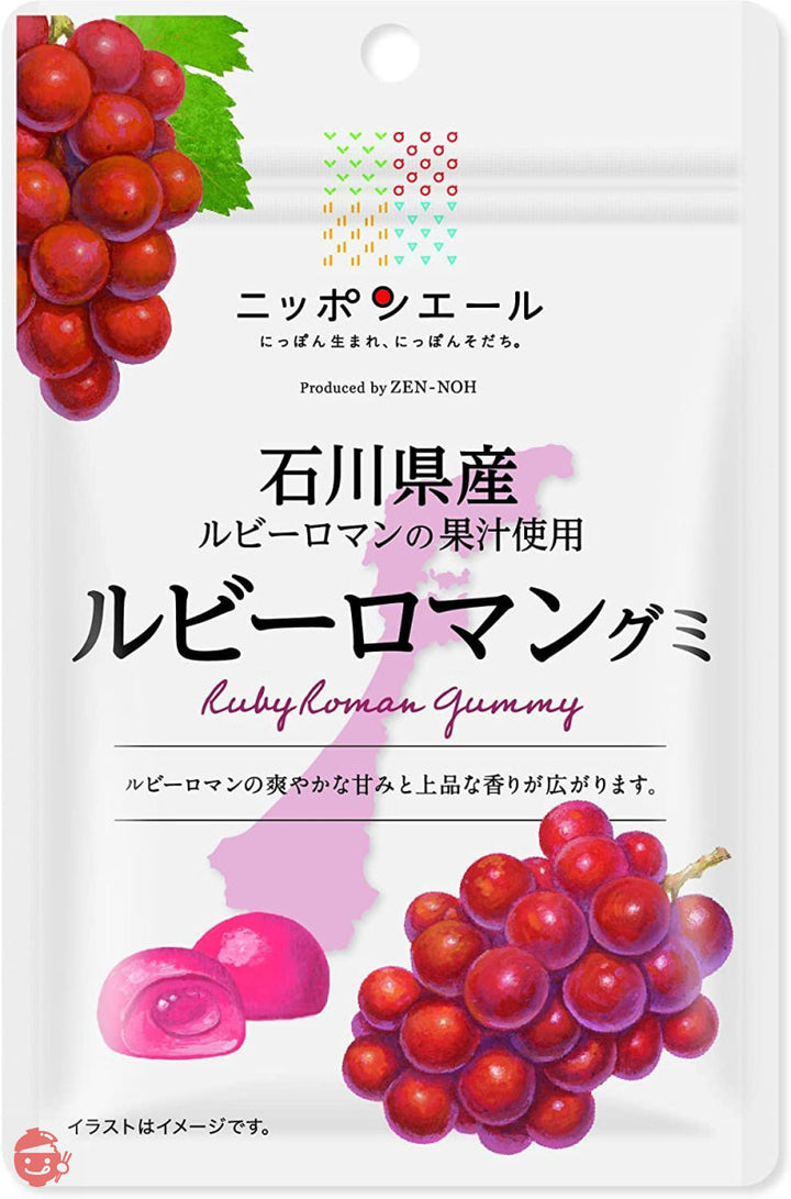 全農 石川県産ルビーロマングミ 40g×10袋の画像