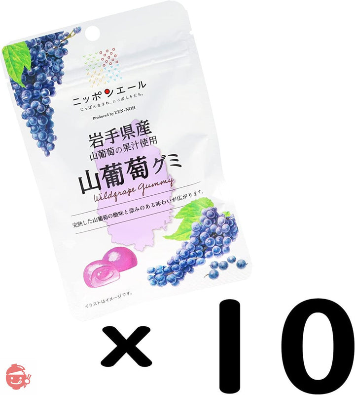 全農 岩手県産山葡萄グミ 40g×10袋の画像