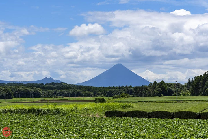 お茶の丸幸 有機玄米茶 200gの画像
