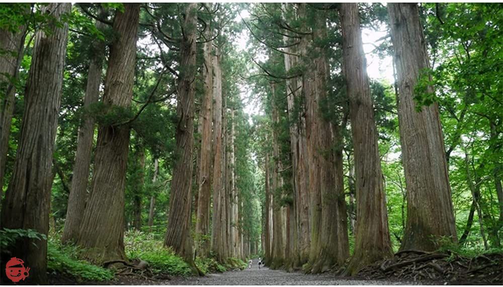おびなた 蕎麦通の二八そば 240g×5袋の画像