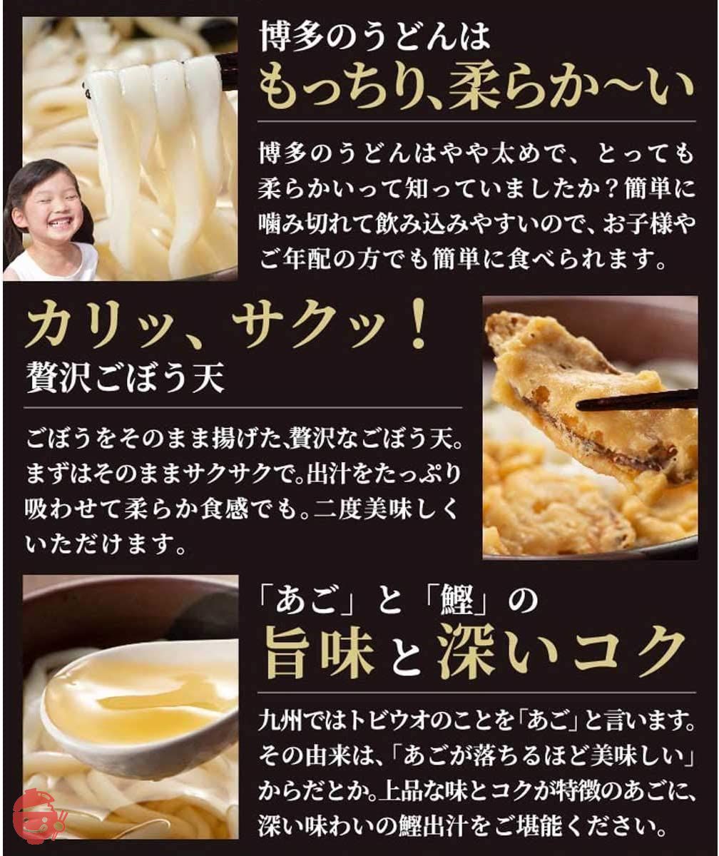 松原正商店 博多ごぼう天うどん 10人前(2人前セット×5) つゆ付き あごだし うどんセット お土産 ギフト 贈答用の画像