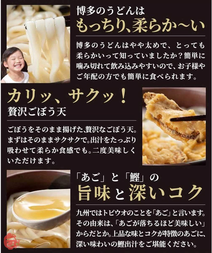 松原正商店 博多ごぼう天うどん 10人前(2人前セット×5) つゆ付き あごだし うどんセット お土産 ギフト 贈答用の画像