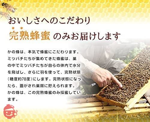 はちみつ 専門店【かの蜂】 国産 みかん 蜂蜜 500g 完熟 の 純粋 蜂蜜 (とんがり容器)の画像