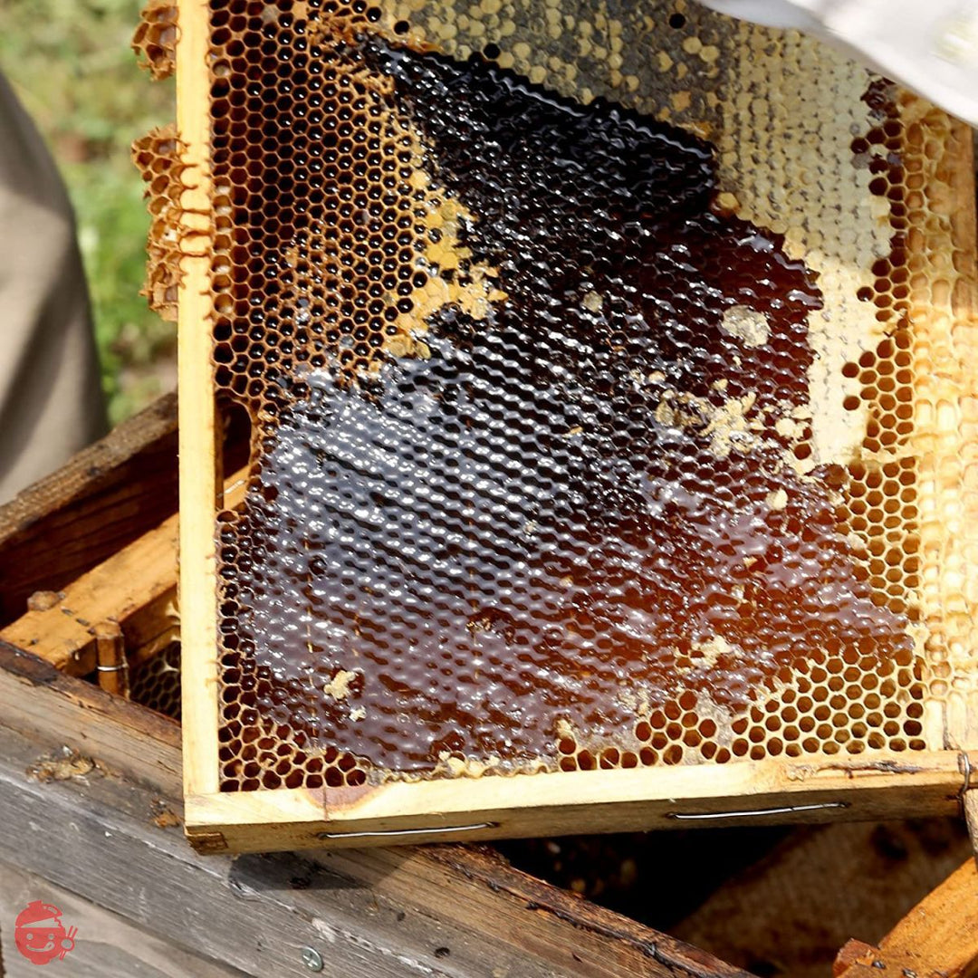 はちみつ 専門店【かの蜂】 国産 もち 蜂蜜 500g 完熟 の 純粋 蜂蜜 (とんがり容器)の画像