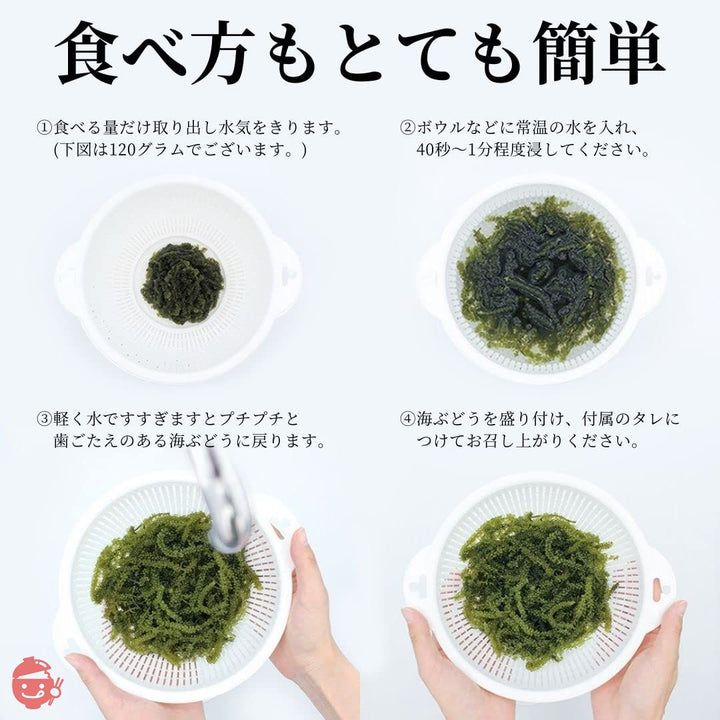 沖ピ 特選A品 海ぶどう 100%沖縄県産 専用シークヮーサータレ付き (600g(120g×5パック))の画像