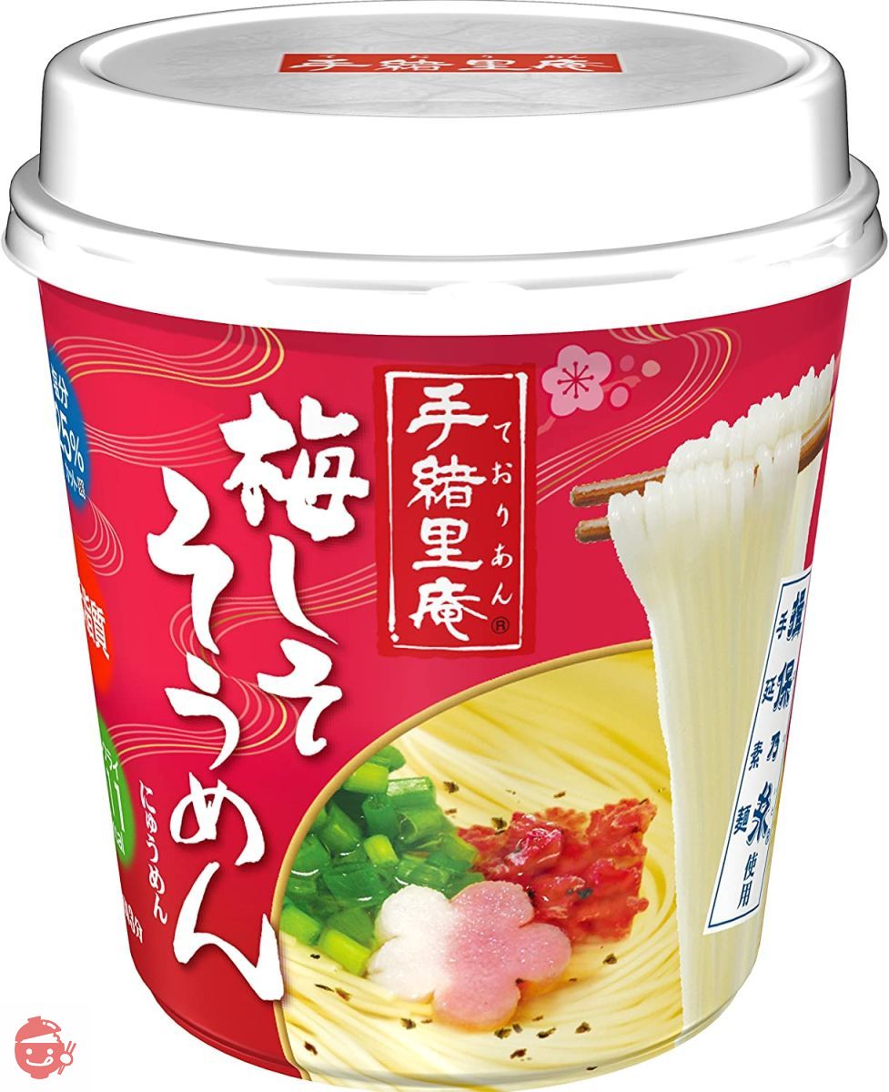 ニュータッチ 手緒里庵 梅しそそうめん 31g×6個の画像