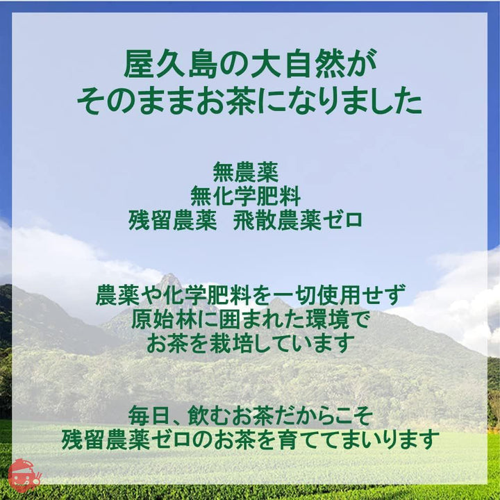 無農薬 無化学肥料 無農薬緑茶 粉末緑茶 緑茶 お茶 茶葉 粉末 パウダー パウダーティー 鹿児島茶 国産 屋久島 深山園 2番茶 粉末緑茶 160g (x 2)の画像